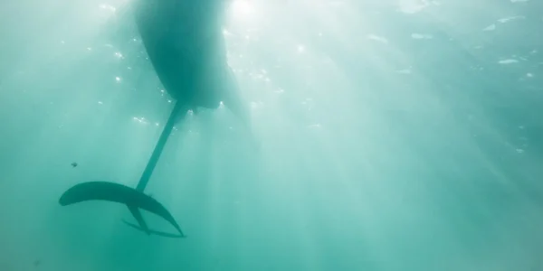 PLANE GRAVITY CARBON