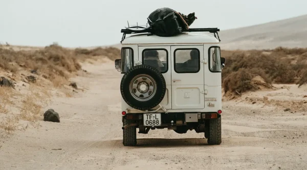 CAR SEAT COVER - כיסוי זוגי לרכב