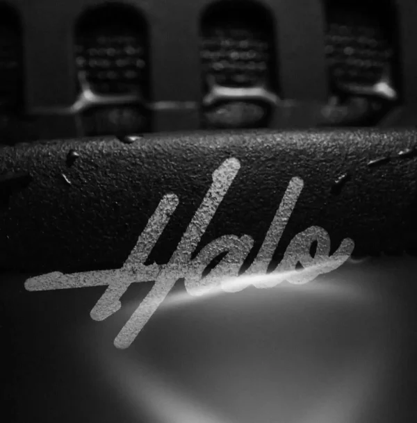 HALO HARNESS - טרפז מנרה