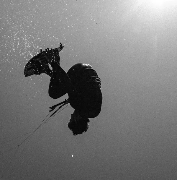 HALO HARNESS - טרפז מנרה