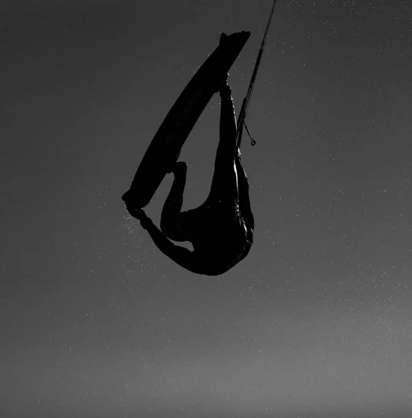 HALO HARNESS - טרפז מנרה