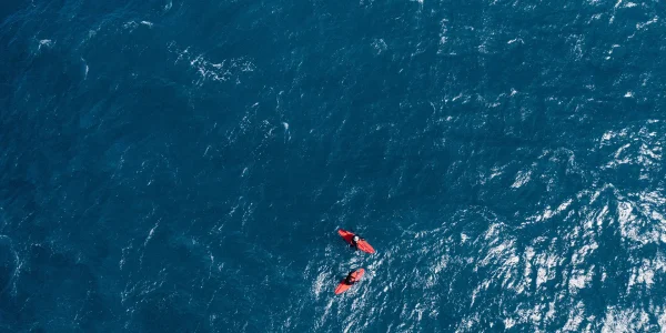 2024 ROCKET SUP DOWNWIND PRO - רוקט סאפ דאונוינד פרו גלשן ווינג