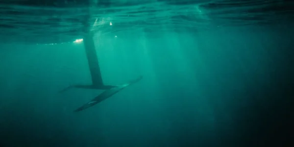 2025 PLANE SEVEN SEAS CARBON