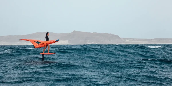 2025 PLANE SEVEN SEAS CARBON