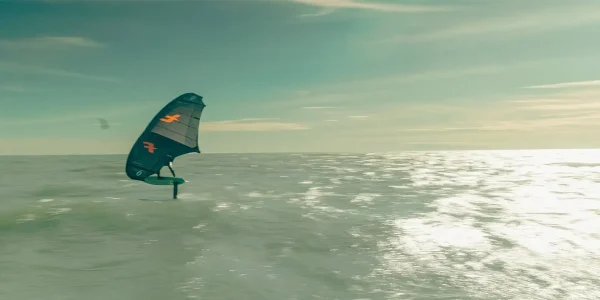 STRIKE V.4 CWC - כנף לגלישת ווינג