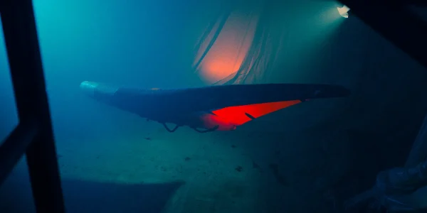 SWING V.4 - כנף לגלישת ווינג