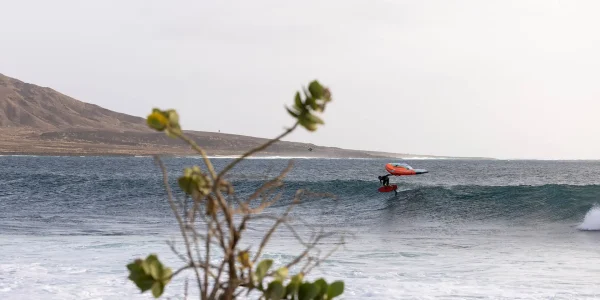 SWING V.3 - כנף לגלישת ווינג